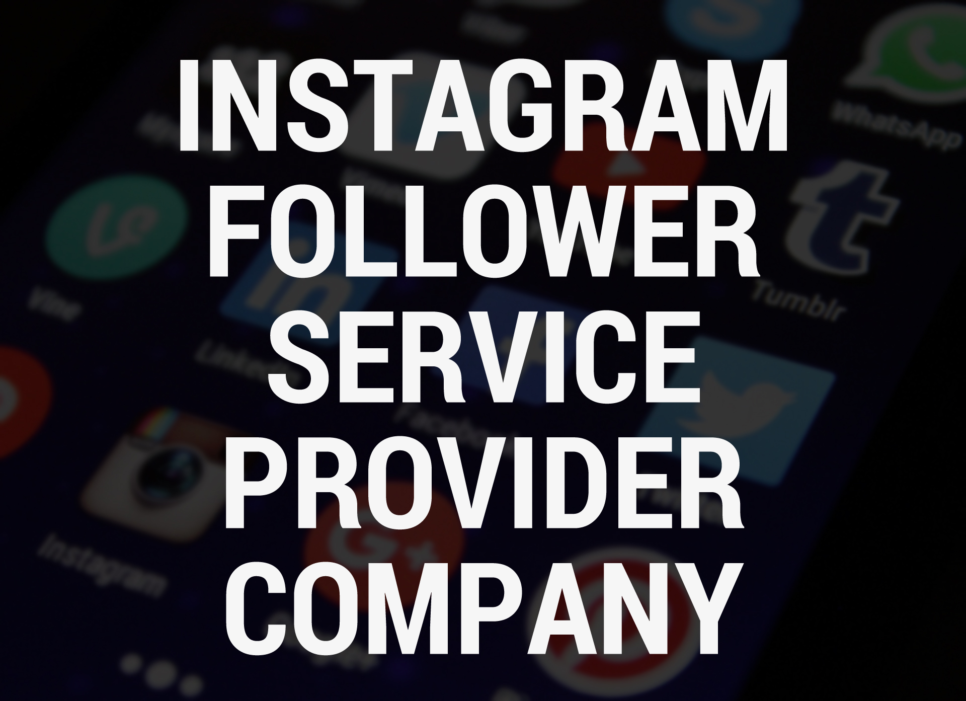 Instagram Follower Service
